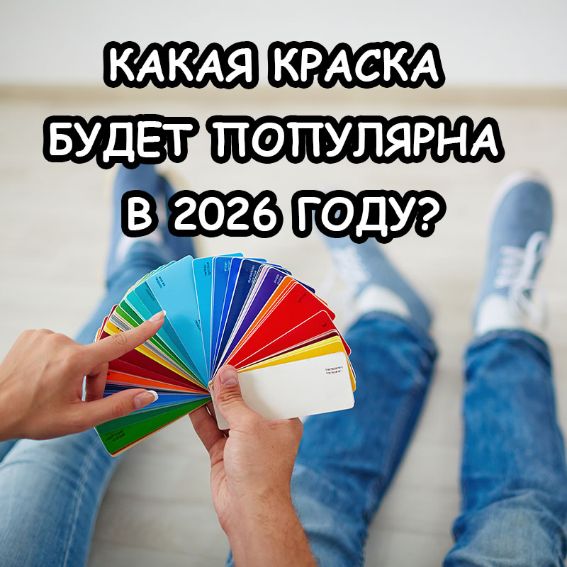 Какие краски для стен будут популярны в 2026 году?  Гид по выбору цвета